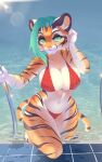 anthro big_breasts bikini breasts clothed clothing felid female fur green_hair hair hand_behind_head ladder looking_at_viewer mammal orange_body orange_fur pantherine partially_clothed solo striped_body striped_fur stripes sun_glare swimming_pool swimwear tiger water wet white-stripes wide_hips 