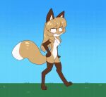  animated anthro averi_(fiddleafox) brown_body brown_fur canid canine dipstick_tail female female_anthro fiddleafox fox fur gloves_(marking) grass hair leg_markings mammal markings pawpads plant sky socks_(marking) solo tail tail_markings walking white_body white_fur 