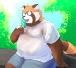  2023 absurd_res ailurid anthro bari_mu belly big_belly bottomwear brown_body clothing eyewear food glasses hi_res kemono licking male mammal orange_body overweight overweight_male popsicle red_panda shirt shorts sitting solo tongue tongue_out topwear 