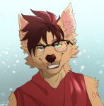  2020 anthro artist_name brown_hair bust_portrait canid canine cheek_tuft clothing digital_media_(artwork) eyewear facial_tuft fur glasses gradient_background green_eyes grin hair hi_res icon inner_ear_fluff looking_at_viewer male mammal pink_inner_ear pink_inner_ear_fluff portrait red_clothing red_topwear shaded simple_background smile snow snowing solo tan_body tan_fur topwear tuft wolfbane154 