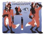  anthro blue_eyes brown_hair butt color_swatch dark_hair featureless_crotch fur glistening glistening_eyes gloves_(marking) grin hair leg_markings male markings model_sheet nude red_body red_fur smile socks_(marking) solo standing tachyon_(tachmanedewolf) yookie 