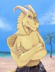  2022 4_fingers anthro beach claws clothed clothing crossed_arms dnd_homebrew fingers hi_res horn kobold male musclegut pupils purple_eyes purple_sclera scales scalie seaside shadowsidemaster shirtless smile solo standing tail tropical yellow_body yellow_scales 