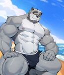  2023 anthro aquaticrecon beach beard biceps blue_clothing blue_sky blue_underwear bulge clothed clothing cloud day deltoids eyewear facial_hair fur glasses goatee grey_body grey_eyes grey_fur grey_hair hair hi_res male mammal muscular muscular_anthro muscular_male muscular_thighs mustelid navel nipples otter pecs pubes sand sea seaside sideburns siggy_(storiaxion) sky smile solo underwear underwear_only water wave whiskers 