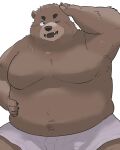  2023 absurd_res anthro bear belly big_belly brown_body brown_nose clothing en_1_9 hi_res humanoid_hands kemono male mammal moobs overweight overweight_male solo underwear 