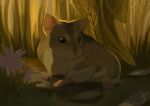  absurd_res ambiguous_gender backlighting cricetid detailed_background feral flower grass hamham5 hamster hi_res light lighting mammal plant rodent solo 