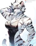  anthro black_stripes blue_eyes breasts clothing felid female fur hi_res looking_at_viewer mammal nonoka917 one-piece_swimsuit pantherine simple_background solo striped_body striped_fur stripes swimwear tail tiger white_body white_fur 