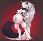  anthro arched_back areola bared_teeth belly big_belly bodily_fluids breasts canid canid_demon canine collar demon digital_media_(artwork) drxii ear_piercing female fur hair hellhound helluva_boss hi_res lactating loona_(helluva_boss) mammal milk navel nipples nude piercing pregnant pregnant_female simple_background solo tail teeth white_body white_fur 