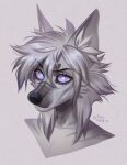  2023 anthro black_nose blue_pupils bust_portrait canid dated female glistening glistening_eyes grey_body grey_hair hair hi_res mammal marie_merkh mouth_closed portrait pupils purple_eyes signature solo 