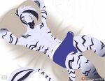  anthro bahama_buck bodily_fluids clothed clothed/nude clothing equid equine genital_fluids lying male mammal mysticsabreonic nude on_back precum sleeping solo underwear zebra 