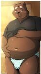  2023 anthro bear belly big_belly blush brown_body bulge clothed clothing clothing_lift hi_res humanoid_hands kemono male mammal menmen_kesinn navel overweight overweight_male shirt shirt_lift solo topwear underwear 