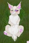  &lt;3 &lt;3_eyes absurd_res anus artist_name blush domestic_cat fan_character felid feline felis female feral genitals grass hi_res lying mammal nipples on_back pawpads paws plant pussy smile smiling_at_viewer solo solo_focus spread_legs spreading warriors_(cats) whitefroggim 
