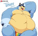  2023 absurd_res anthro armpit_hair australian_cattle_dog bandit_heeler belly big_belly big_moobs bluey_(series) bodily_fluids body_hair bulge canid canine canis cattledog clothed clothing dialogue domestic_dog english_text eyebrows fur herding_dog hi_res inviting lgbt_pride looking_at_viewer love_handles male mammal moobs musk navel nipples obese obese_anthro obese_male overweight overweight_anthro overweight_male pastoral_dog patreon pride_color_clothing pride_color_underwear pride_colors rainbow_pride_colors simple_background sitting solo stompsthecroc sweat talking_to_viewer text topless topless_anthro topless_male tuft underwear underwear_only url watermark white_background 