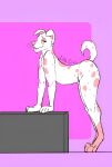  canid canine canis clion dalmatian dibujo domestic_dog female hecho hi_res humanoid male mammal solo 