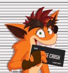  1boy artist_name barbie_mugshot_(meme) character_name crash_bandicoot_(series) english_text fake_crash highres looking_at_viewer meme mugshot portrait raiin_knight solo watermark 