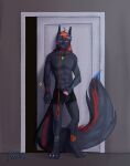  anthro big_tail bulge canid canine canis clothing collar door hand_in_underwear hi_res leash male mammal solo standing tail underwear wolf 