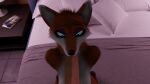  animated anthro bed bedroom bedroom_sex blue_eyes canid canine fellatio female fox furniture genitals hands_behind_back human human_on_anthro humanoid_genitalia humanoid_penis interspecies kneeling male male/female mammal mikiyani oral penile penis sex short_playtime solo solo_focus 