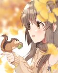  1girl acorn autumn_leaves blurry brown_eyes brown_hair brown_sweater chipmunk clannad depth_of_field ginkgo_leaf haruchimo highres ibuki_fuuko leaf long_hair sidelocks smile squirrel sweater turtleneck turtleneck_sweater upper_body 