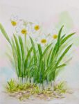  flower grass highres naoy_watercolor no_humans original painting_(medium) plant realistic road street tall_grass traditional_media watercolor_(medium) white_flower 