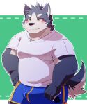  2023 absurd_res anthro biped black_nsoe blush bulge canid canine canis clothing domestic_dog green_bell grey_body hi_res humanoid_hands kemono male mammal shirt solo topwear underwear 