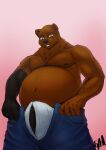  absurd_res barazoku bear bulge ergoruz hi_res male mammal meme nafeon tight_pants_meme 