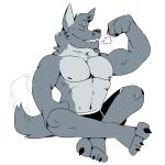  1:1 anthro biceps boxers_(clothing) boxers_only breath canid canine canis claws clothed clothing flexing fur grey_body grey_fur half_naked hi_res male mammal muscular muscular_male naaidden navel nipples paws pecs presenting simple_background solo suggestive teeth topless underwear underwear_only wolf 
