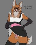  aaron_(edwino22) anthro balls big_ears bottomwear canid canine chastity_cage chastity_device clothed clothing dialogue edwino22 flashing flashing_penis genitals girly hand_on_hip hi_res looking_at_viewer maid_uniform male mammal maned_wolf nonbinary_(lore) orange_body raised_bottomwear raised_clothing raised_skirt skirt smile smiling_at_viewer smug solo talking_to_viewer uniform 
