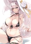  1girl alexi_oekaki animal_ears bare_shoulders bikini black_bikini blush breasts cameltoe character_request cleavage closed_mouth echocalypse green_eyes hat highres large_breasts looking_at_viewer navel o-ring simple_background smile solo stomach swimsuit thigh_strap white_background white_hair white_headwear 