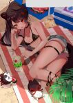  1girl :d animal_ears beach_towel bikini black_bikini black_choker blush breasts brown_eyes brown_hair choker cup dog_ears dog_tail food fruit halterneck head_rest heterochromia highres inui_toko long_hair lying medium_breasts micro_shorts nijisanji on_side ponytail red_eyes sand shinomiya_shino_(sinosino141) shorts smile solo string_bikini swimsuit tail thigh_strap towel virtual_youtuber watermelon watermelon_slice 