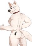  2023 4_fingers absurd_res anthro anthrofied artist_name athletic athletic_anthro athletic_male baxter7020 bolt_(bolt) bolt_(film) brown_eyes bubble_butt butt butt_tattoo canid canine canis collar digital_drawing_(artwork) digital_media_(artwork) disney domestic_dog fingers fluffy fluffy_tail fur german_shepherd gesture herding_dog hi_res looking_at_viewer looking_back looking_back_at_viewer male mammal muscular muscular_anthro muscular_male pastoral_dog pecs signature simple_background smile snout solo tail tattoo thick_thighs thumbs_up white_background white_body white_fur 