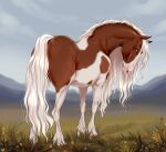  2023 brown_body brown_fur equid equine female feral fur grass horse looking_at_viewer mammal mane multicolored_body multicolored_fur outside plant rear_view sky solo standing tail two_tone_body two_tone_fur velvet_requiem white_body white_fur white_mane white_tail 