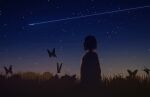  1girl bob_cut bug butterfly commentary from_behind grass hair_ornament hairclip highres meeu0biss night night_sky original outdoors scenery shooting_star short_hair sky solo star_(sky) starry_sky 