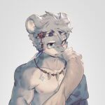  anthro blue_eyes clothing felid fur fur_markings grey_body hair hi_res jewelry lqqq male mammal markings muscular muscular_male necklace pantherine scar simple_background snow_leopard solo tribal 