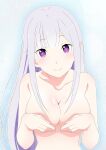  1girl blush braid breasts commentary_request decisiveproject elf emilia_(re:zero) flower grey_hair hair_flower hair_ornament highres long_hair looking_at_viewer medium_breasts pointy_ears purple_eyes re:zero_kara_hajimeru_isekai_seikatsu ribbon smile solo white_flower white_hair x_hair_ornament 