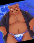 2023 anthro asian_clothing bear blush brown_body clothing east_asian_clothing facial_hair fundoshi hi_res japanese_clothing jinbei_(clothing) kemono male mammal moobs mustache nipples overweight overweight_male snow_utamaru solo underwear 