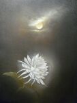  black_background cloud cloudy_sky dark flower full_moon light mitzoka2001 moon night night_sky no_humans original painting_(medium) pastel_(medium) plant shadow sky traditional_media white_flower 