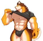  abs absurd_res anthro aquaticrecon barrel_(live_a_hero) biceps bulge canid canine canis clothed clothing clothing_lift hi_res lifewonders live_a_hero male mammal muscular muscular_anthro muscular_male nipples pecs shirt shirt_lift solo t-shirt topwear wolf 
