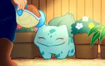  1other blue_pants brown_footwear bulbasaur claws closed_eyes closed_mouth flower flower_pot holding holding_watering_can nostrils out_of_frame pants pink_flower pokemon pokemon_(creature) sakurasasou smile squirtle watering watering_can white_flower yellow_flower 