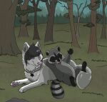  2012 ambiguous_gender black_body black_fur black_hair black_inner_ear_fluff black_nose black_whiskers bluekyokitty canid canine cel_shading checkered_collar claws collar day detailed_background digital_drawing_(artwork) digital_media_(artwork) duo eyebrows eyes_closed feral feral_with_hair forest fur grass grey_body grey_fur grey_inner_ear_fluff hair inner_ear_fluff leaning_on_another looking_at_another lying mammal markings open_mouth open_smile outside pawpads paws pink_eyes pink_nose pink_pawpads pink_tongue plant procyonid raccoon raised_arm raised_eyebrow ring_(marking) ringtail sebdoggo shaded smile tail tail_markings tongue tree tuft whiskers white_body white_claws white_fur 
