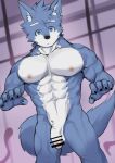  abs anthro asleepchef biceps blue_body blue_eyes blue_fur canid canine canis domestic_dog flaccid fur genitals hair hi_res hybrid male mammal multicolored_body multicolored_fur muscular muscular_anthro muscular_male nipples nude pecs penis solo standing tail two_tone_body two_tone_fur wolf yakumo_(asleepchef) 