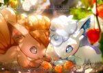  :o alolan_vulpix blurry brown_eyes character_name closed_mouth commentary_request dated day depth_of_field ekm grass looking_down no_humans outdoors pokemon pokemon_(creature) smile vulpix 