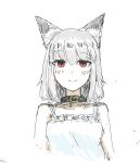  1girl animal_ear_fluff animal_ears arknights black_collar blush_stickers character_request closed_mouth collar collarbone colt_(allyourvase0808) dress frilled_dress frills grey_hair hair_between_eyes highres looking_at_viewer red_eyes short_hair simple_background sketch sleeveless sleeveless_dress smile solo white_background white_dress 