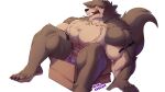  2023 4_toes 5_fingers anthro armband armwear artist_name barazoku big_abs big_biceps big_muscles big_pecs blush bongo_(yongdasom) bottomwear box boxers_(clothing) brown_body brown_fur canid canine canis chest_tuft claws clothing collar container embarrassed facial_piercing fangs feet fingers fur hi_res labret_piercing legband lip_piercing male mammal muscular muscular_anthro muscular_male neck_tuft pecs piercing sharp_teeth shirtless sitting sitting_on_box solo teeth toe_claws toes torn_armwear torn_bottomwear torn_clothing tuft tusks underwear wolf yellow_eyes yongdasom 