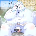  2023 anthro balls belly big_belly big_dick_day blush canid canine canis detailed_background domestic_dog flaccid fur genitals hi_res humanoid_genitalia humanoid_hands humanoid_penis japanese_text kemono kozakurayamato lifewonders live_a_hero male mammal moobs nipples overweight overweight_male penis pubes sitting solo steam text towel white_body white_fur yohack 