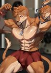  2023 5_fingers abs absurd_res anthro biceps black_lips black_nose blurred_background bulge clothed clothing felid fingers fur hair hi_res inside kurosuke0755 lips male mammal muscular muscular_anthro muscular_male pecs pose red_clothing solo teeth topless 