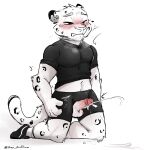  absurd_res anthro blush clothing ejaculation erection felid hands-free hi_res male mammal max_muffin01 pantherine snow_leopard solo 