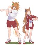  2girls absurdres animal_ears benikirin grass_wonder_(umamusume) gym_uniform highres horse_ears horse_girl horse_tail multiple_girls ponytail size_difference stretching taiki_shuttle_(umamusume) tail tracen_training_uniform umamusume 