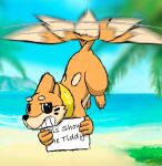  ambiguous_gender beach buizel day feral flying generation_4_pokemon hi_res holding_object looking_at_viewer mammal multi_tail mustelid nintendo pokemon pokemon_(species) propositioning seaside sign smile solo tail text unremarkable_guy 