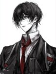  1boy bishounen black_coat black_eyes black_hair black_vest closed_mouth coat collared_shirt highres limbus_company lips long_sleeves luull necktie pale_skin project_moon red_necktie shirt simple_background solo upper_body vest white_background white_shirt wing_collar yi_sang_(project_moon) 