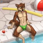  2023 absurd_res anthro athletic athletic_male ball beach_ball beverage brown_body brown_fur canid canine canis clothed clothing domestic_dog fur glass green_eyes hi_res inflatable male mammal mutt_(wagnermutt) pool_noodle scar solo speedo swimming_pool swimwear tongue tongue_out topless wagnermutt 
