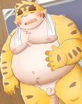  2023 anthro balls belly big_belly blush eyes_closed felid flaccid genitals hi_res humanoid_hands kemono male mammal moobs navel nipples overweight overweight_male pantherine penis puss3250 small_penis solo tiger towel towel_around_neck 